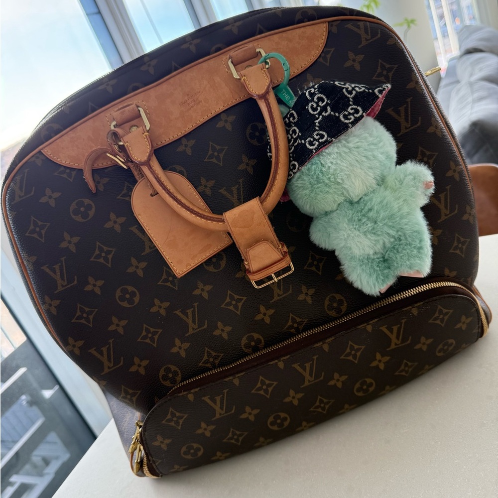 Louis Vuitton Monogram Bag